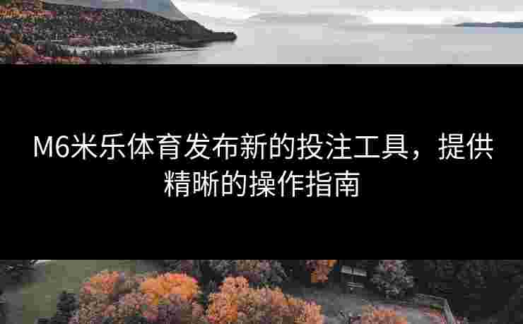 M6米乐体育发布新的投注工具，提供精晰的操作指南