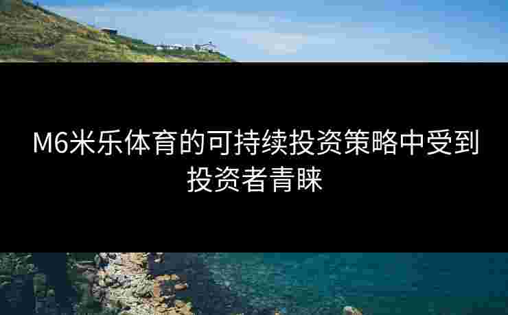 M6米乐体育的可持续投资策略中受到投资者青睐