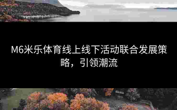 M6米乐体育线上线下活动联合发展策略，引领潮流