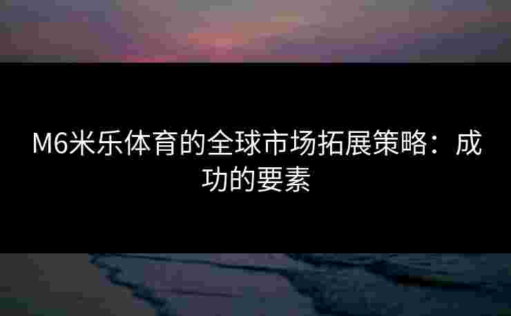 M6米乐体育的全球市场拓展策略：成功的要素