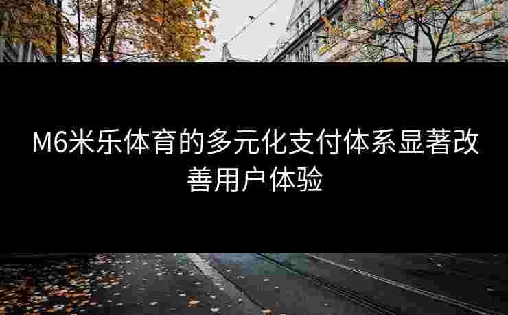 M6米乐体育的多元化支付体系显著改善用户体验