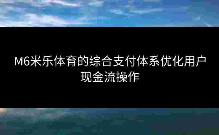 M6米乐体育的综合支付体系优化用户现金流操作
