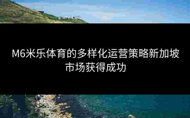 M6米乐体育的多样化运营策略新加坡市场获得成功