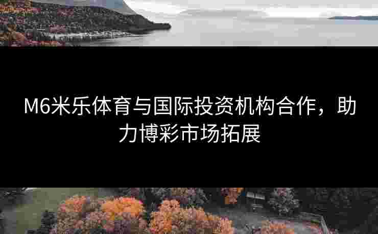 M6米乐体育与国际投资机构合作，助力博彩市场拓展