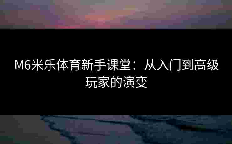 M6米乐体育新手课堂：从入门到高级玩家的演变