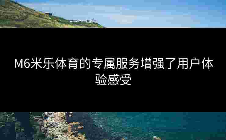 M6米乐体育的专属服务增强了用户体验感受