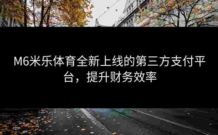 M6米乐体育全新上线的第三方支付平台，提升财务效率