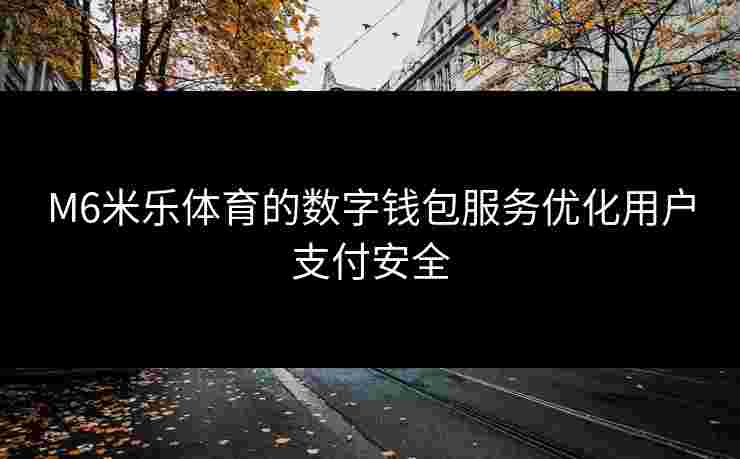 M6米乐体育的数字钱包服务优化用户支付安全